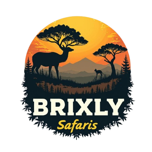 Brixly safaris